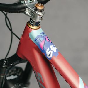 Frame Protectors: Dyedbro DB650 Frame Protection