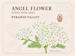 2022 Angel Flower Pinot Noir