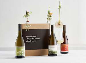 Gift Pack: Pyramid Valley Summer Sipper Trio