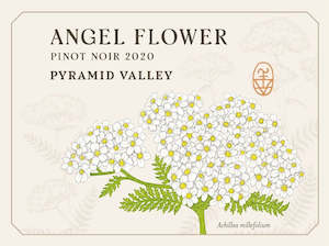 2020 Angel Flower Pinot Noir