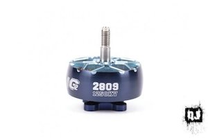 iFlight XING2 2809 1250Kv Motor