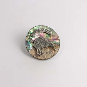 DH259: Kiwi brooch