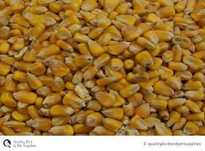 Pet: Whole Maize NZ