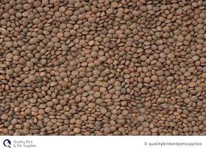 Lentils