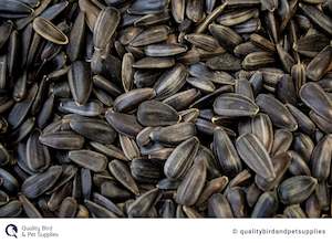 Black Sunflower Seeds  - Topflite