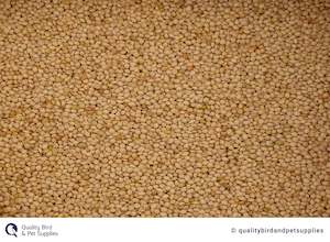 White French Millet - Topflite