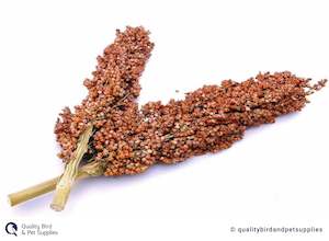 Sorghum Spray