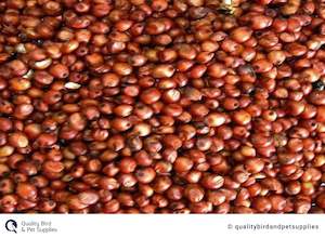 Red Sorghum