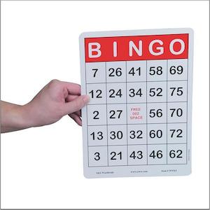 Jumbo Bingo Cards (set of 25)