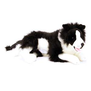 Blitz the Border Collie (with pocket) 62cm