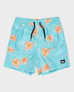 Boys 8-16 Everyday Straight Volley Boardshorts