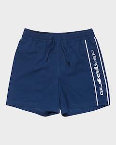 Boys 8-16 Everyday Vert 14" Swim Shorts