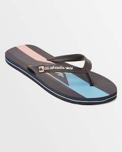 Mens Molokai Art Beach Flip-Flops