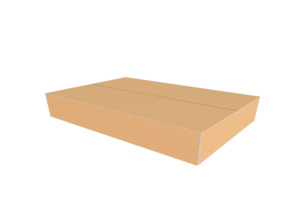 Carton 472x322x98 Heavy Duty (boxa2)