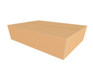 Carton 420x300x150 Heavy Duty (boxa4)