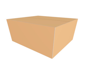 Carton 260x200x150mm Heavy Duty (size 1)