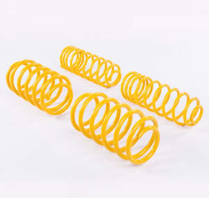 Professional motor racing: VW Tiguan (5N) 40mm Lowering Springs