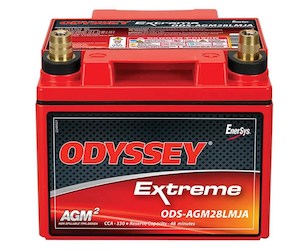 Professional motor racing: Odyssey Battery PC925MJT