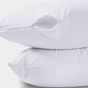 Bed Protectors: Waterproof pillow protector