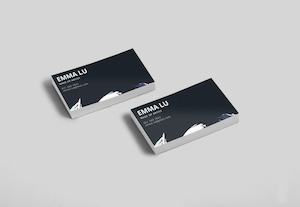 Business Card Premium - 1 Sided