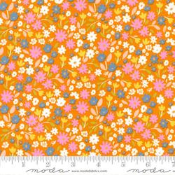 Fabrics textile: Marigold Summer Sunshine - Aneela Hoey for Moda