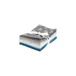 Winter Elements- Fat Quarter Bundle AGF