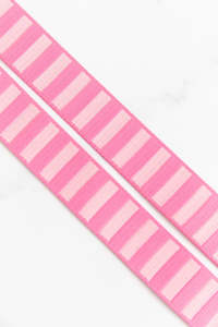 Bold Stripe Webbing 1 1/2” Flamingo & Pale Pink