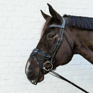 Horse: Anti Fly Nose Net - Black