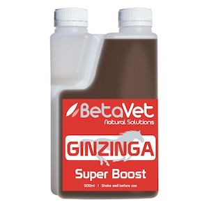 Ginzinga