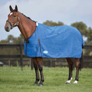 Rugs: Lined Canvas Standard Neck - Blue