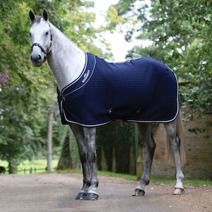 Show Rugs: Thermocell Cooler Standard Neck Navy/White