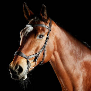 Bridles: ComFiTec Daina Bridle - Brown