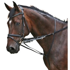 Lunging Equipment: Market Harborough With Reins - Black