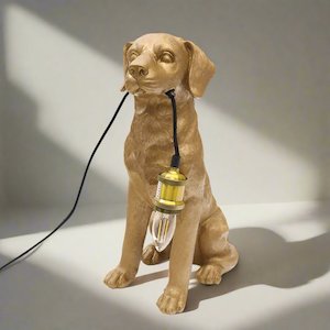 Gold Labrador