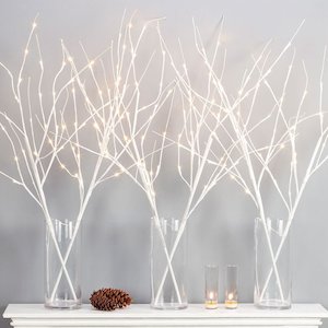 Homewares: SET OF WHITE BRANCHES