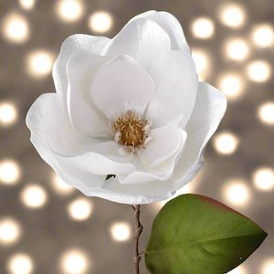 Homewares: VELVET WHITE MAGNOLIA