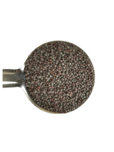 Organic Mustard seeds - black