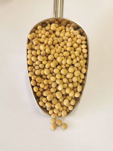 Beans Pulses: NZ Grown Whole Soy Beans