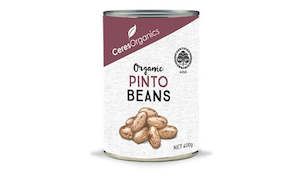 Organic Canned Pinto Beans