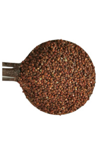 Kiwi Quinoa - Red