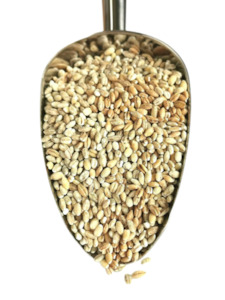 Pearl Barley