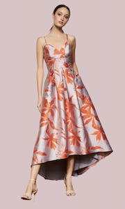 Womenswear: Hutch Floral Print High-Low Dress