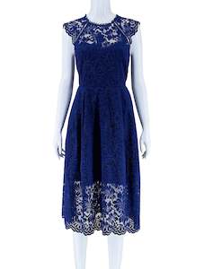 Eliza J Navy Blue Lace Dress