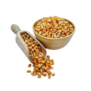 Grains: Popping Corn