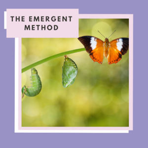 Coaching Services: The Emergent Method