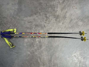 Tyrolia 120cm Ski Poles (One Bent)