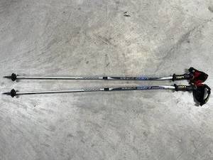 Hobby equipment and supply: Leki Viper 117cm Ski Poles