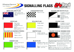 Professional motor racing: Motor Sport NZ Flag Sticker