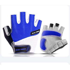 Professional motor racing: BlueWhite Gelmit Gloves