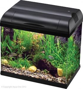 Aqua One EcoStyle 32 Aquarium - Redwood Aquatics Aquarium & Water Garden Centre